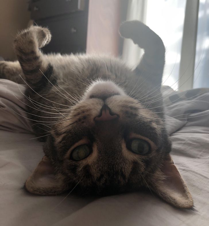 db653053ccbf40aadc0cea62bc