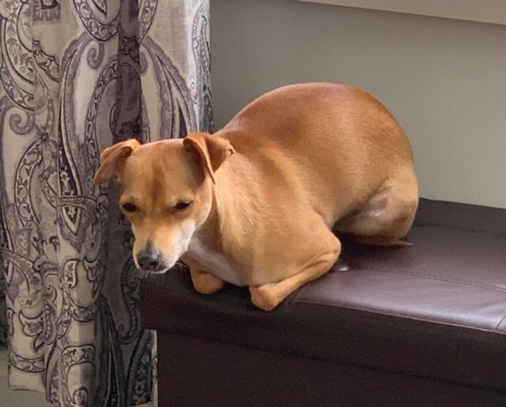 db66725b88b89a045160fbd270