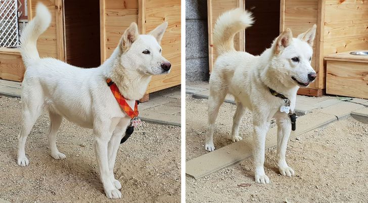 db70a05a00ac8425446bdaf494