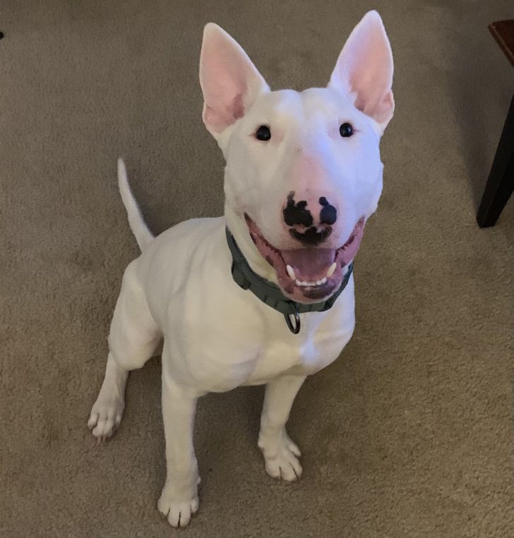 db70da5894ac90a80fa1104d47