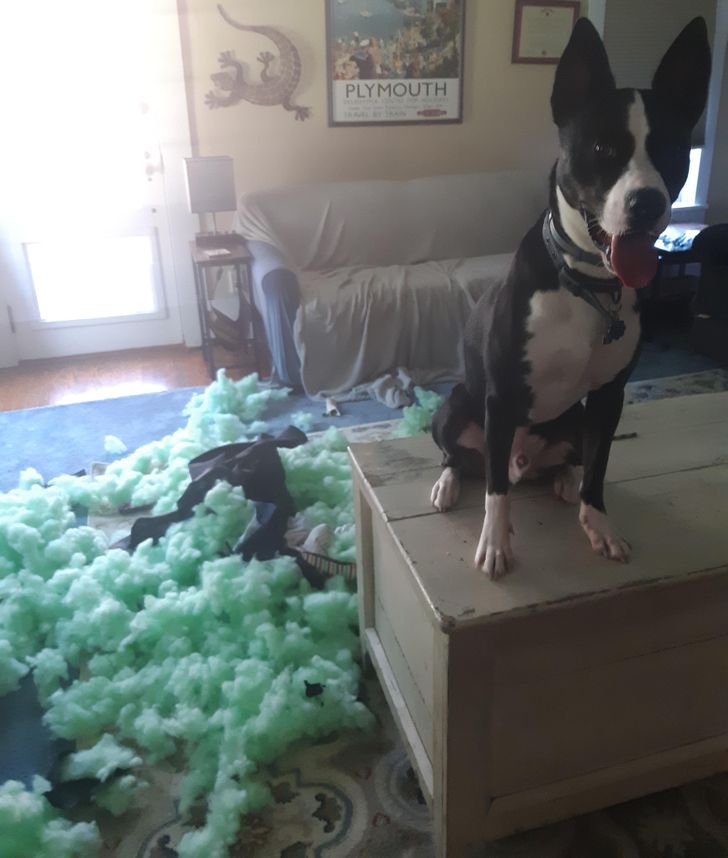 db7c6e570cbca0d0de203a0ce6