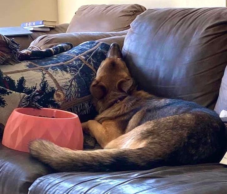 db7e00593080d4e13ee9263ec3