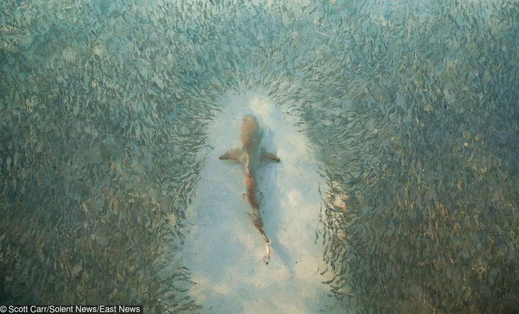 db7f4f5b8ab29ef27ef081582b