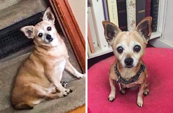 db84685533845f1097bd64dfbe