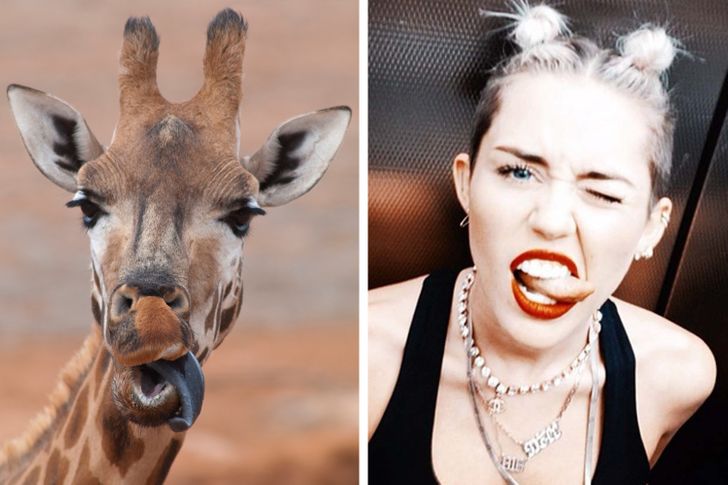 db84e4501b94d87e2390357586