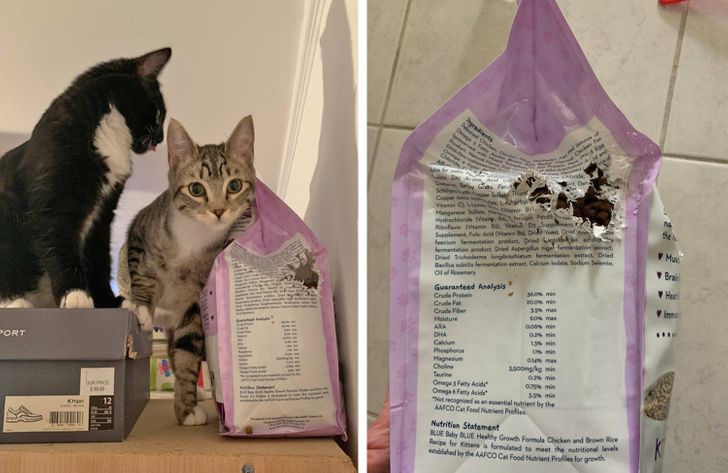 db8b31563aaa6e279fba481f62