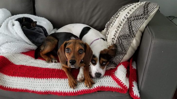 db8c4155af8dc5ff845acaec4f