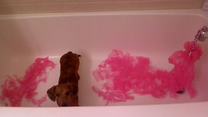 db8ecb5d0e8fa1f14a147d3d50