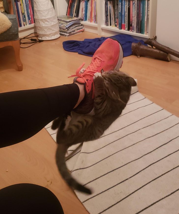 db90f45049800617bff0fb1538