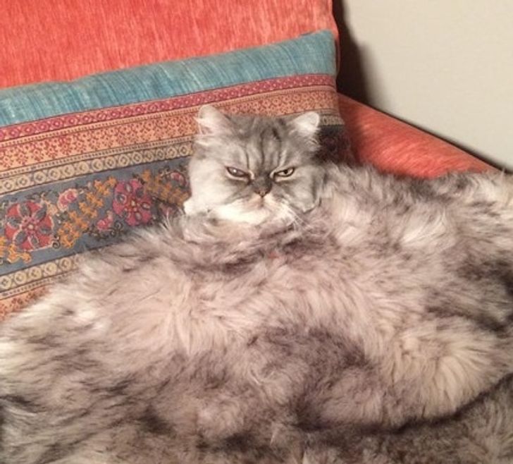 db915f5aa1b6251e4018d061b1