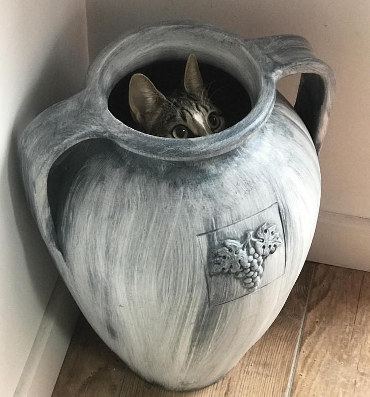 db9204581a9cb9394cd44f508a