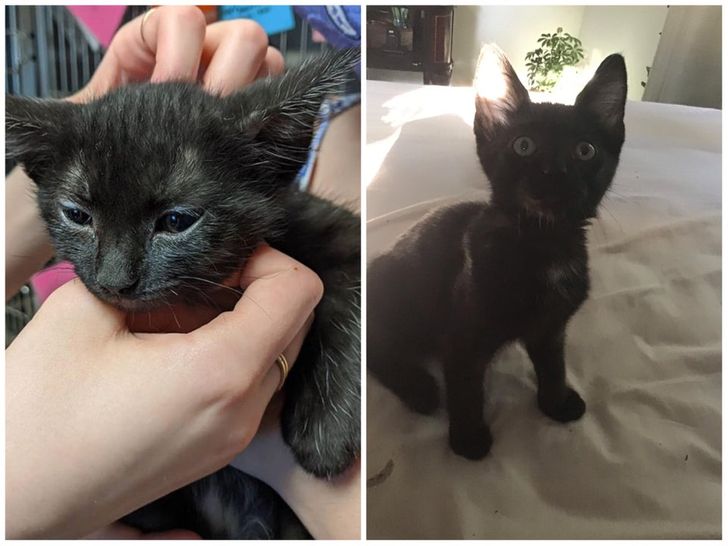 db9813543db5fd11fbf1f0e578