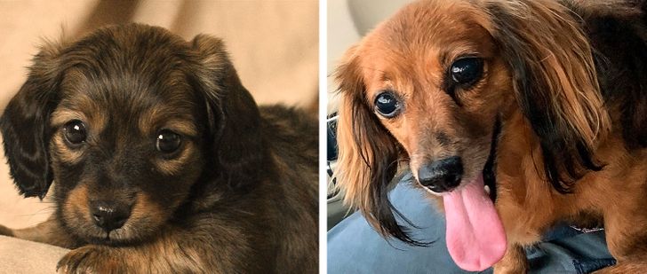 db9f9157a7b28c2bda9e6be1ae