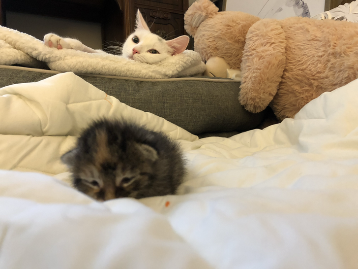 dbacde50328cb4de05d6bd3cc9