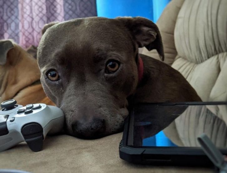 dbbacc5d439a3b97546c206f7e