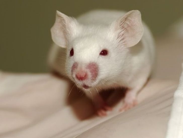 dbbbb65a858a1bd2dfab1d18ea