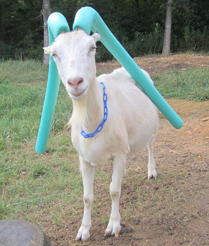 dbc00255d691633dc2f2fc85d8