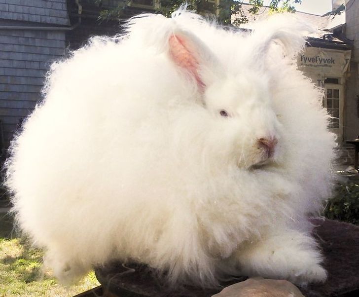 dbc2a85c54998e128ae957f128