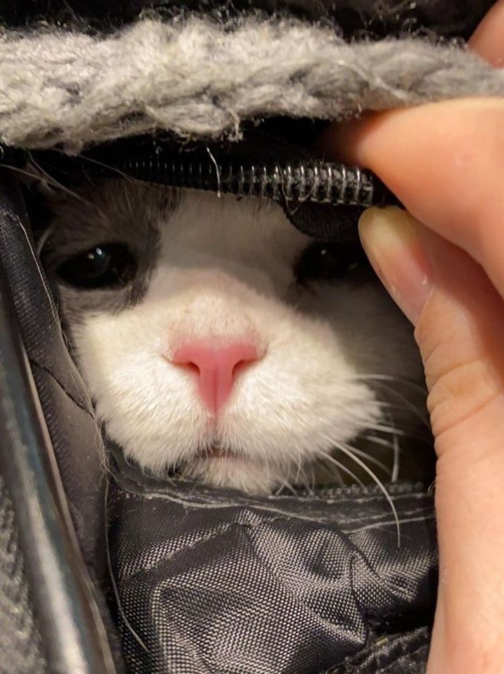 dbc8c655058f821db647bf8982