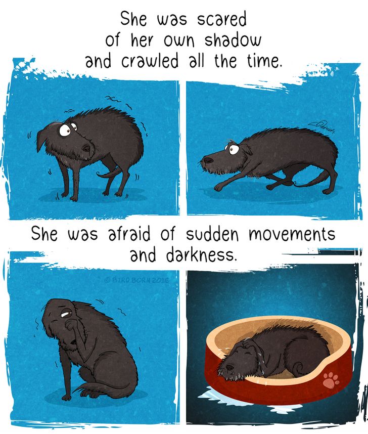 dbd4c15710ad3bfc9c025fb10c