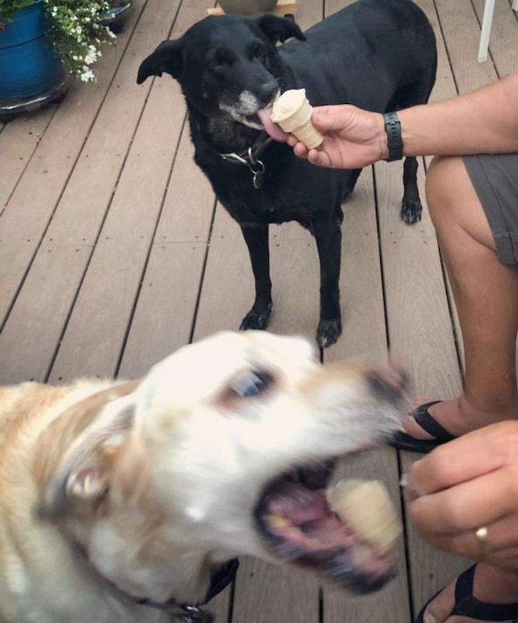 dbd5f65f43a51579ad1c0e2fc1