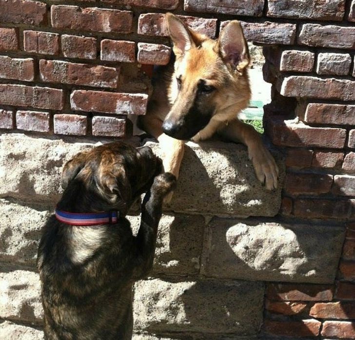 dbd6dc5f10a3174e73a53cdf5a