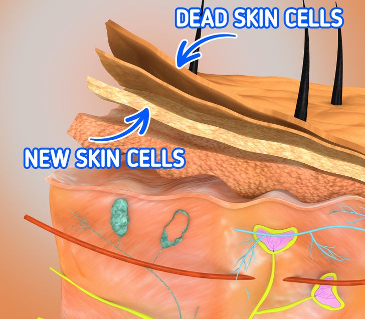 dbd6dd534c9489f6a1746f1f4f