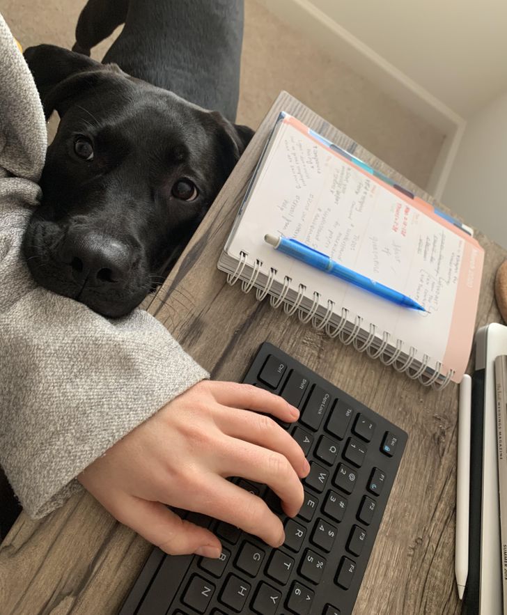 dbe26d51eb8c65549dac39a88f