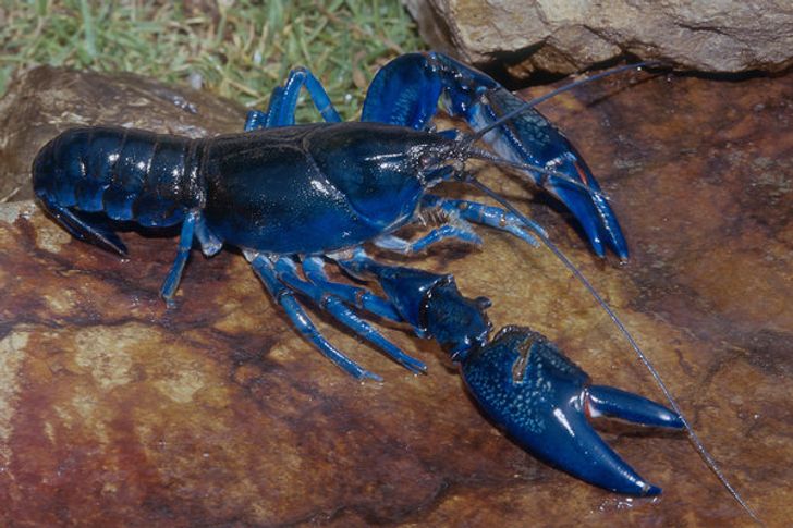 dbe51e537fb4507c55fbee8b50