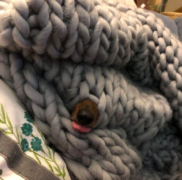 dbe7d854959a3cfa9d6533154e