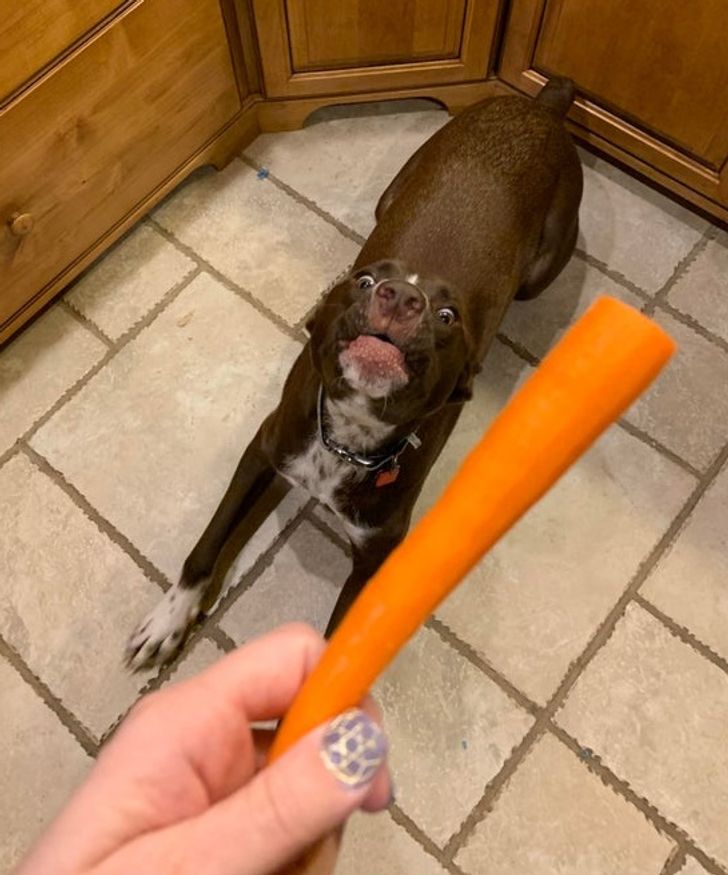 dbeb0c50169fc9137e765967d4