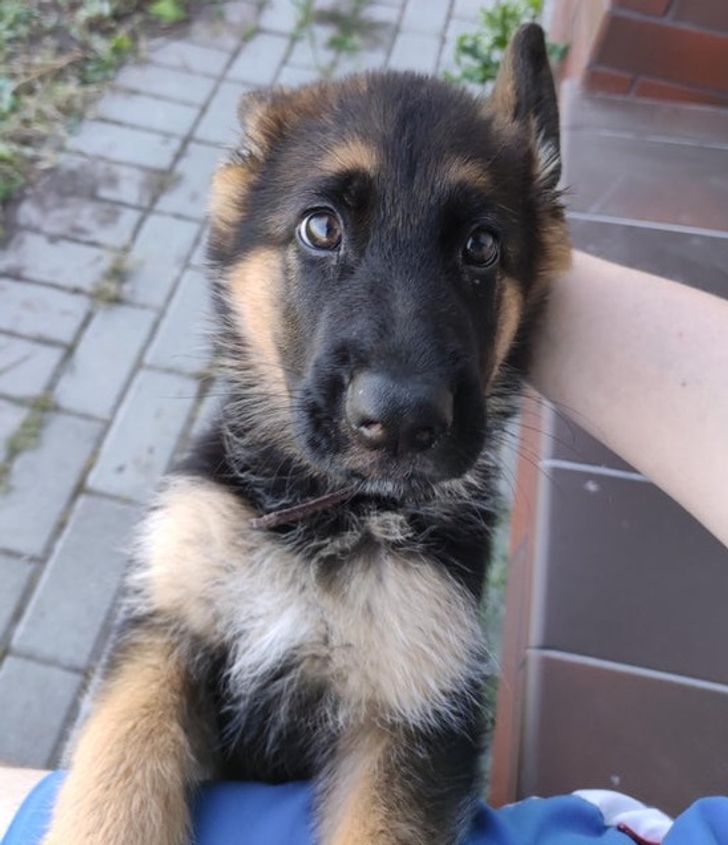 dbee1953028594cf3b265813c9