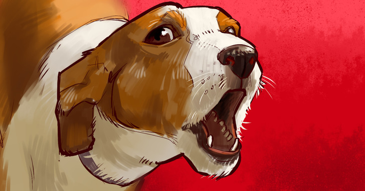 dbf05459578dfdd32b50389534