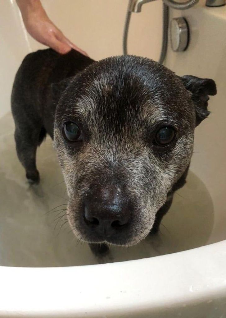 dbf10d5e90905c7719a639352d