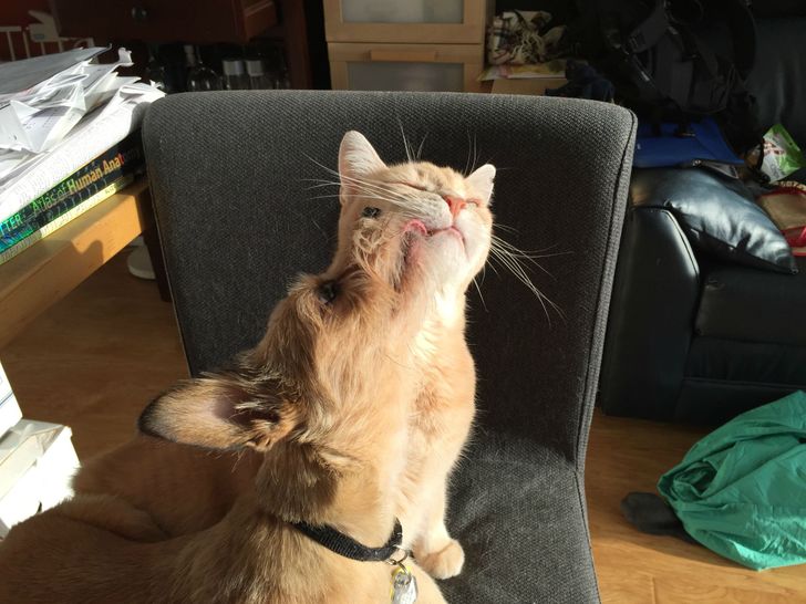 dbf4f3597b8924a7b4073ef0a2