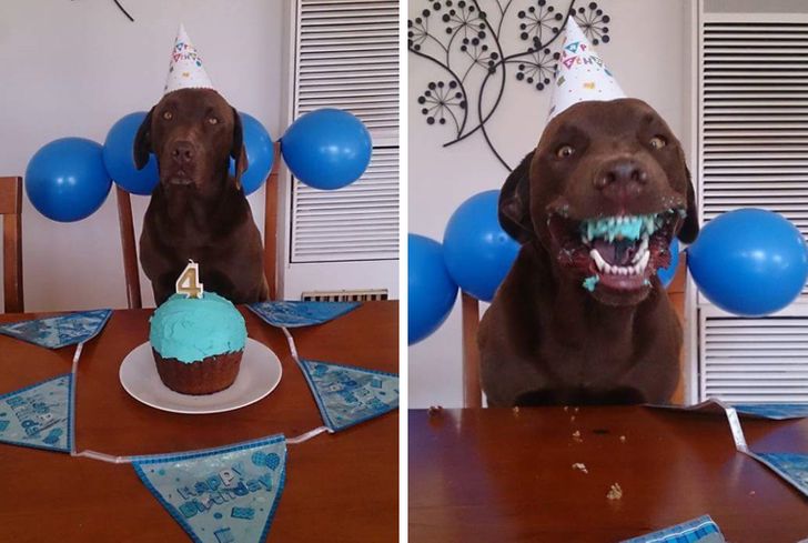 dbfbf75321804b62f7e8489030