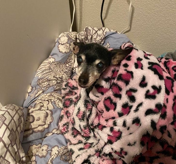 dbfd2d5beda17a420af7da84a2