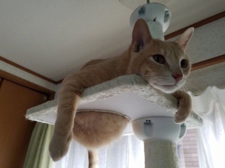 dc05a650cdb0e87b5b52f70100