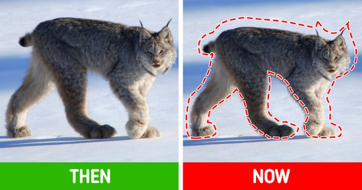 dc05f45e0fab454b783add29a6