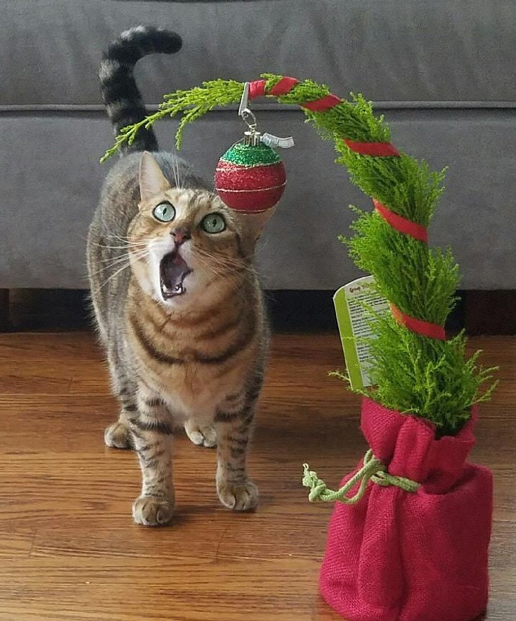 dc08c95a97bba29488dff7e4ce