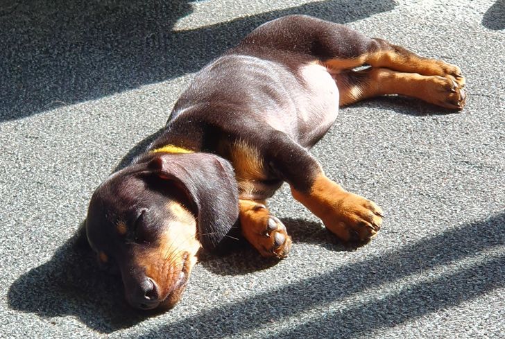 dc0d1c5de797c2de9a27be9eed dc0d1c5de797c2de9a27be9eed