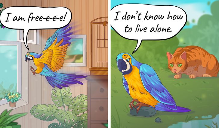 dc11d05ed99f39ffb5c8d8f8ae