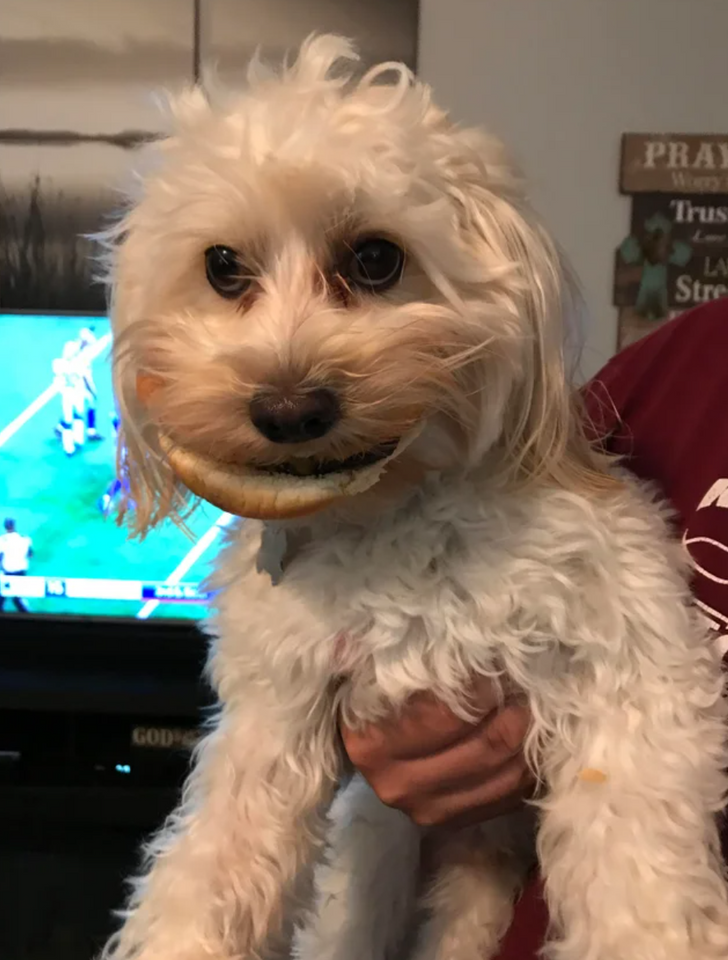 dc1b92574f8367946e4d7a9a38