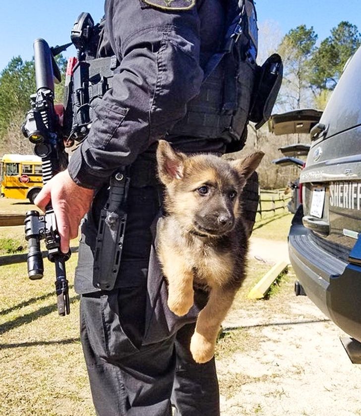 dc1bd85bf8859d25abf6650f7b