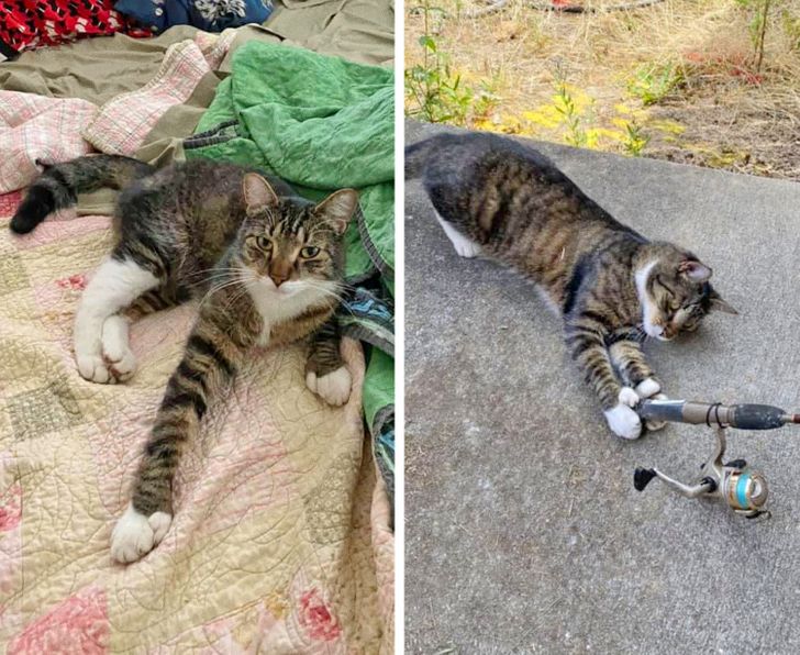 dc1ca6546fbe5e7f656d5bb75a