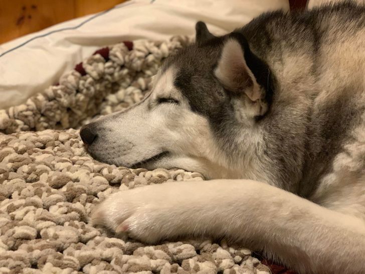 dc1e1858fdaff83458d2a5cb7e