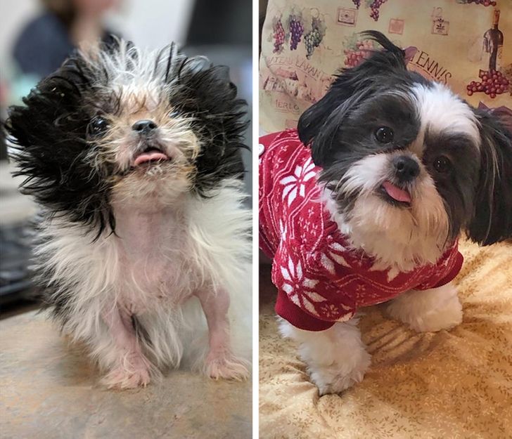 dc2a1e550c87690408d6d7201d