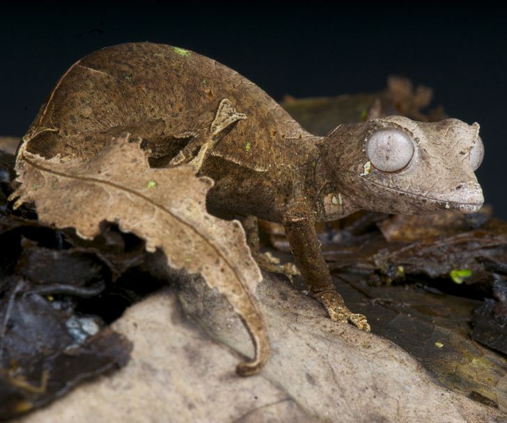 dc365e55cb8623b63cba022cec