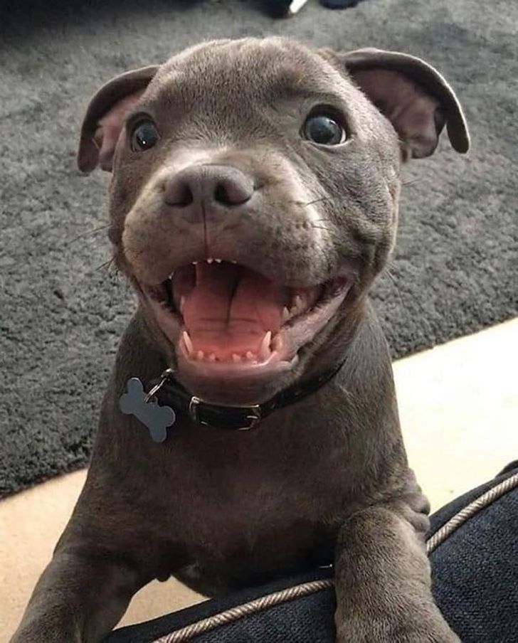 dc42f55613aa89186e2db19182