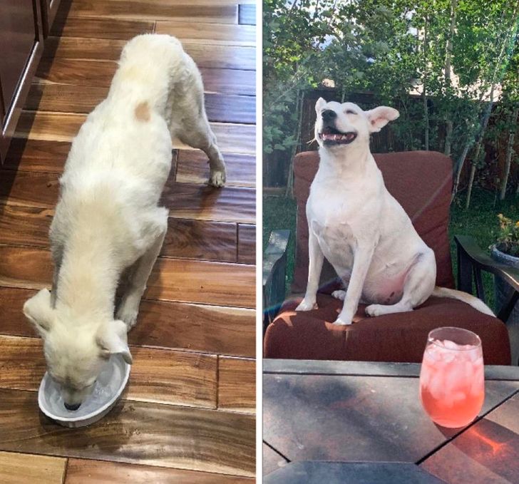 dc4bc052f48d6b2bf729306b6d